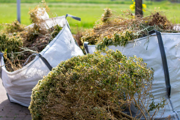 Best Yard Waste Removal  in Lacy Lakeview, TX